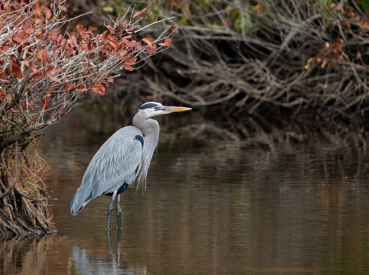DocTrader tweet media