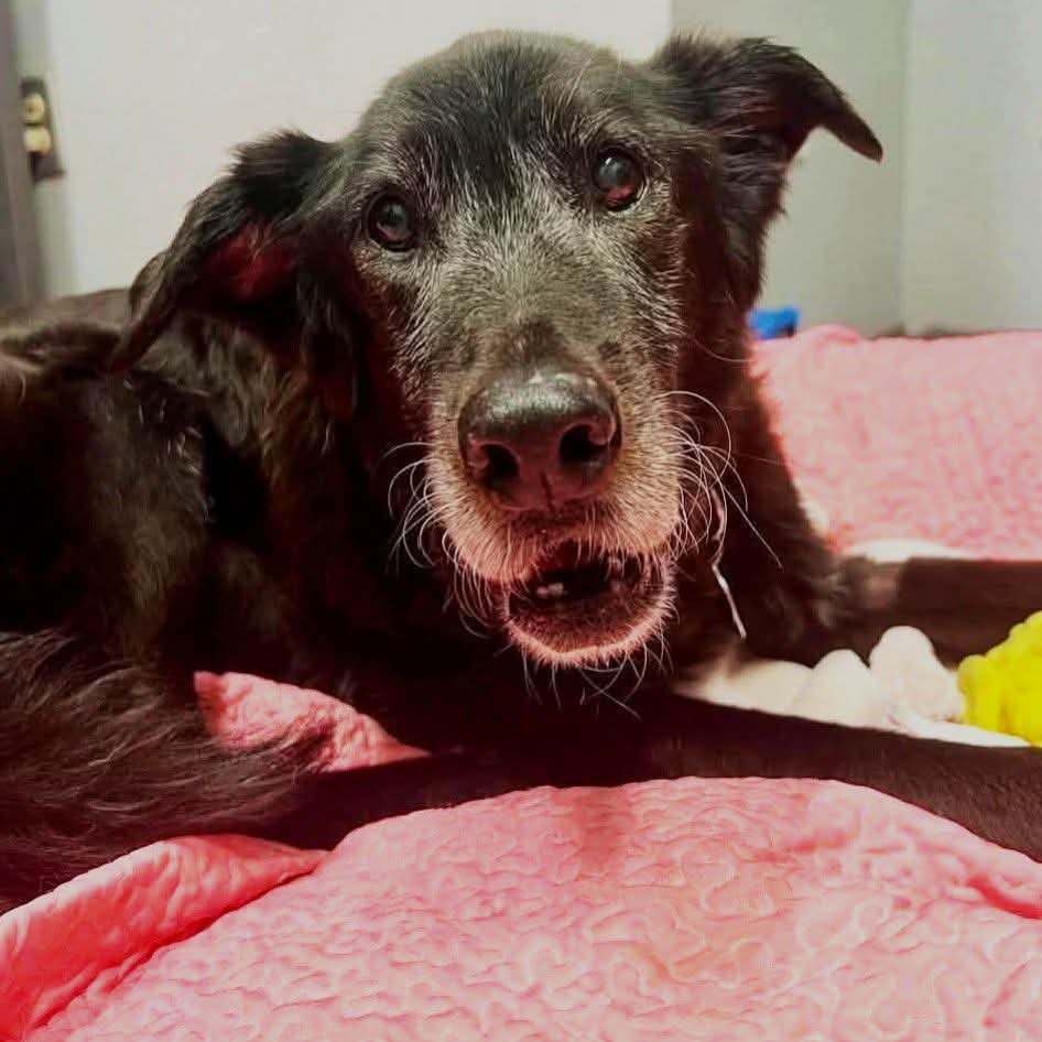 This boy is 16 today , wish him a good one ❤❤