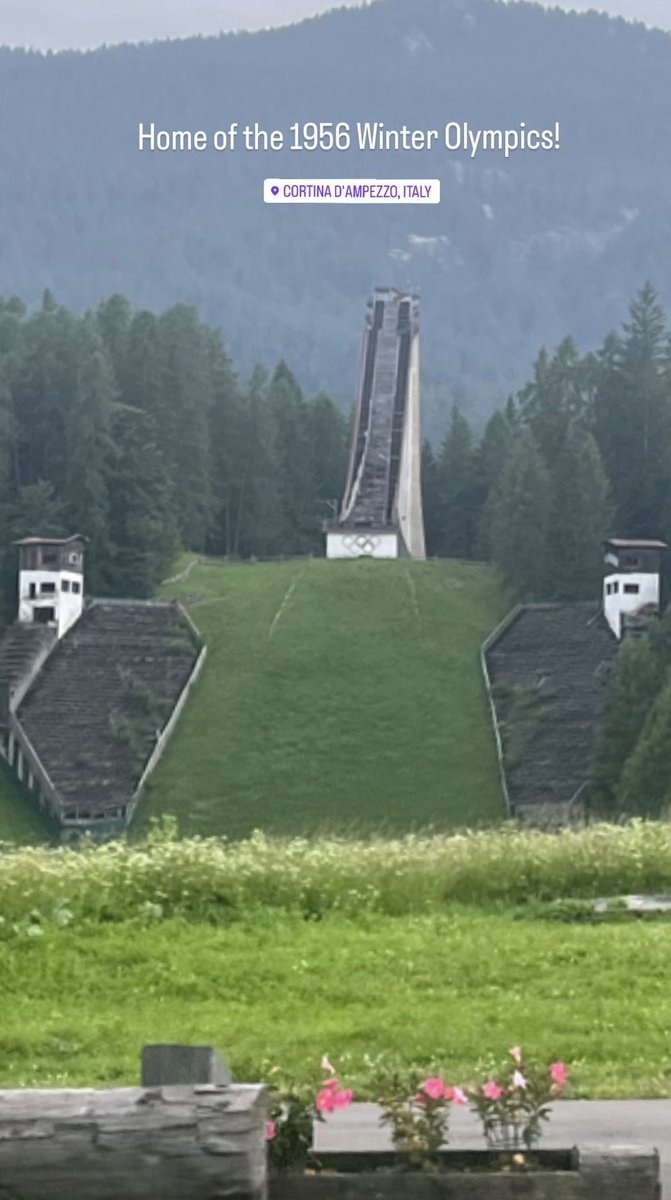 Wayne Walsh tweet media