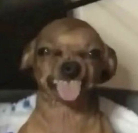 并不喜欢吃鱼 tweet media