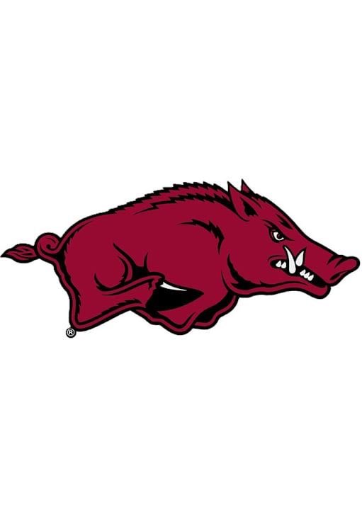 douthard0 tweet media