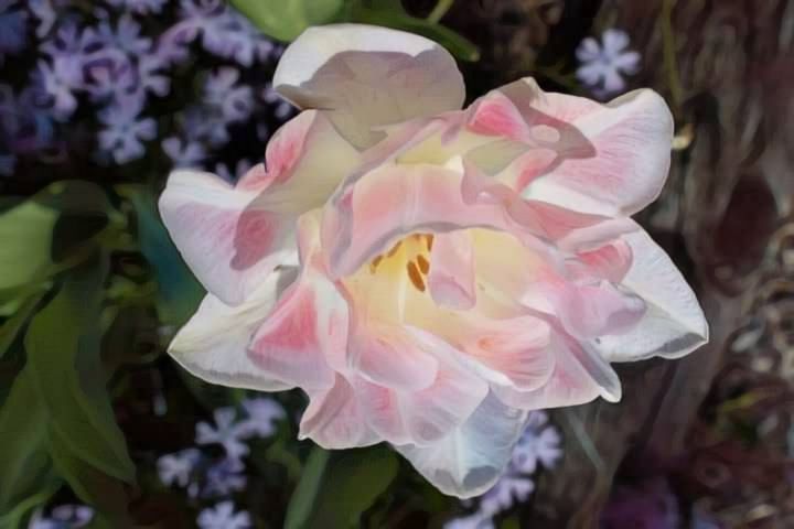 pdoodlepolly's tweet photo. Art of the Day! "Pink Flower". Buy at: https://t.co/suW6nZsORn https://t.co/vf62AnABJd