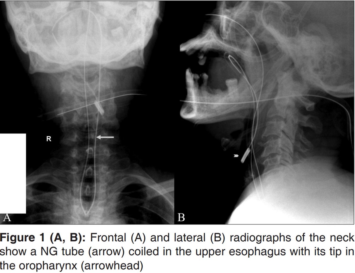 Hassler S. Macías-Sánchez tweet media