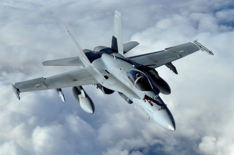 تمرة • tmrrah tweet media