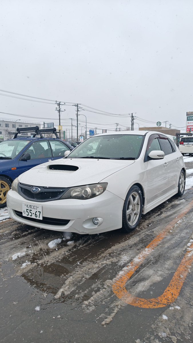 𝙎𝙡𝙪𝙙𝙜𝙚 tweet media