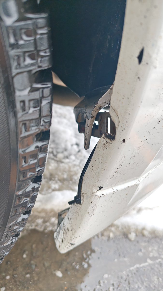 𝙎𝙡𝙪𝙙𝙜𝙚 tweet media