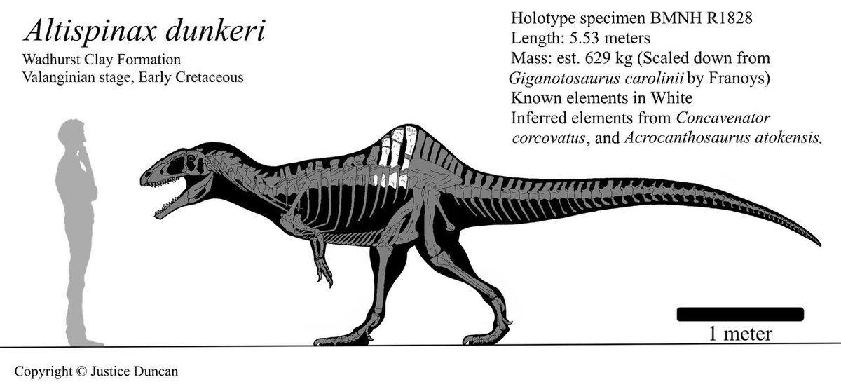 Omegafreelancer (Commissions OPEN!) tweet media