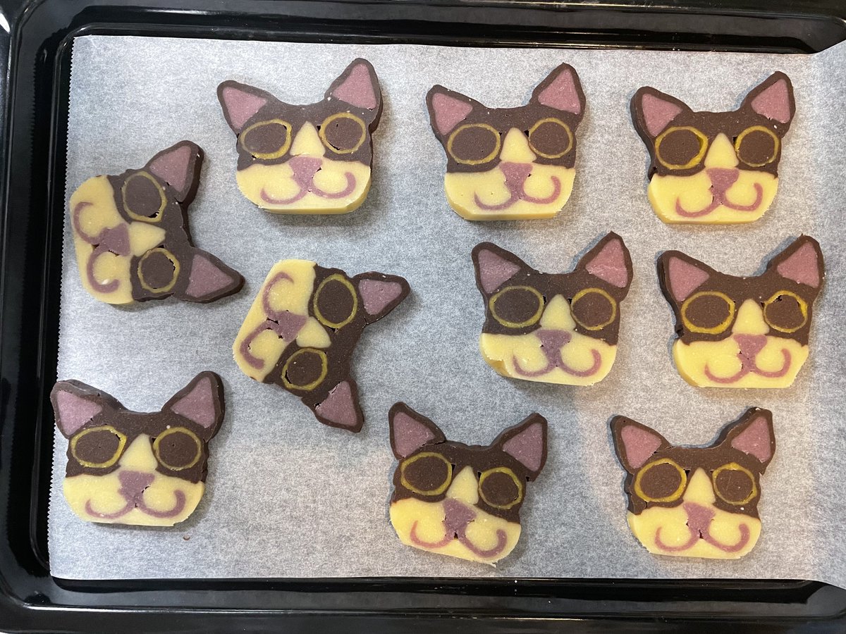 Usagi5Maybe's tweet photo. 家族に「イギーみたい」と言われた、猫のアイスボックスクッキー🍪...
今から焼きます

見本と比べると圧倒的に黒目を太くし過ぎた...
紫芋パウダーとかぼちゃパウダーとココアパウダーで着色しました！🌿

早めのホワイトデーってことで🤍

#みのたけ製菓
#ホワイトデー
#アイスボックスクッキー https://t.co/CawHxQWUa8