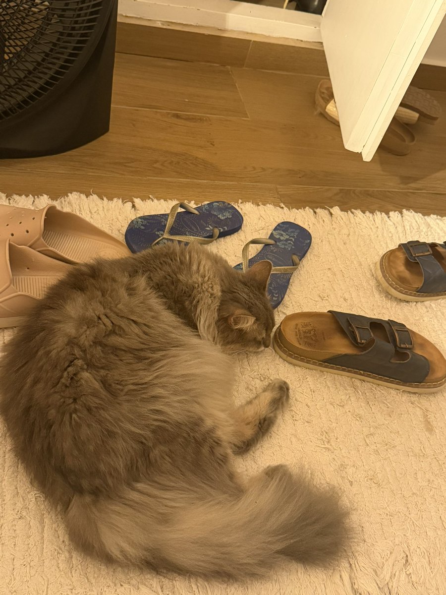 Luli Lacerna tweet media