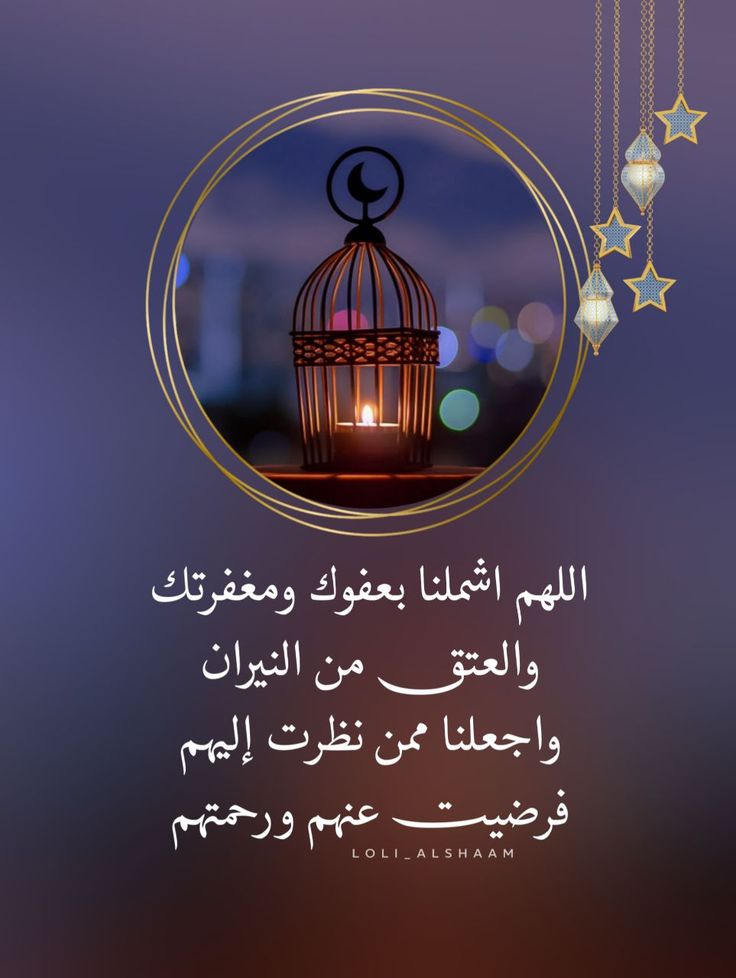 د. نواهل tweet media