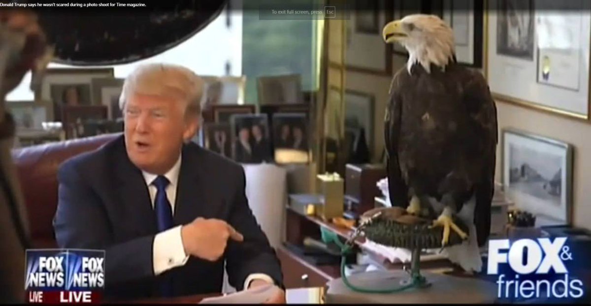 The American Bald Eagle’s habitat is about to be turned into a luxury marina. <a href="/realDonaldTrump/">Donald J. Trump</a> we know you love business.. but the Eagle means strength &amp; freedom, this feels like a fight worth winning for USA🇺🇸🦅 $EAGLE