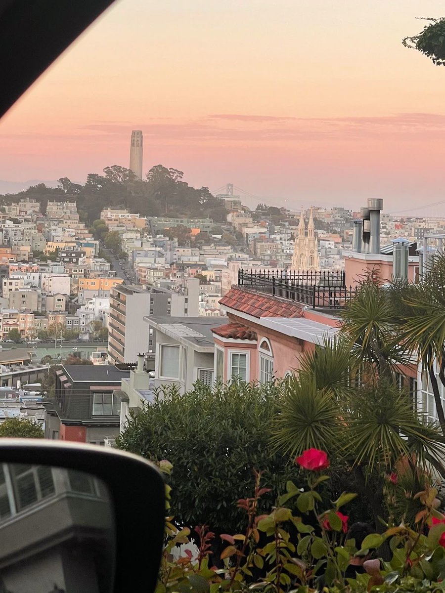 Arav Kumar tweet media