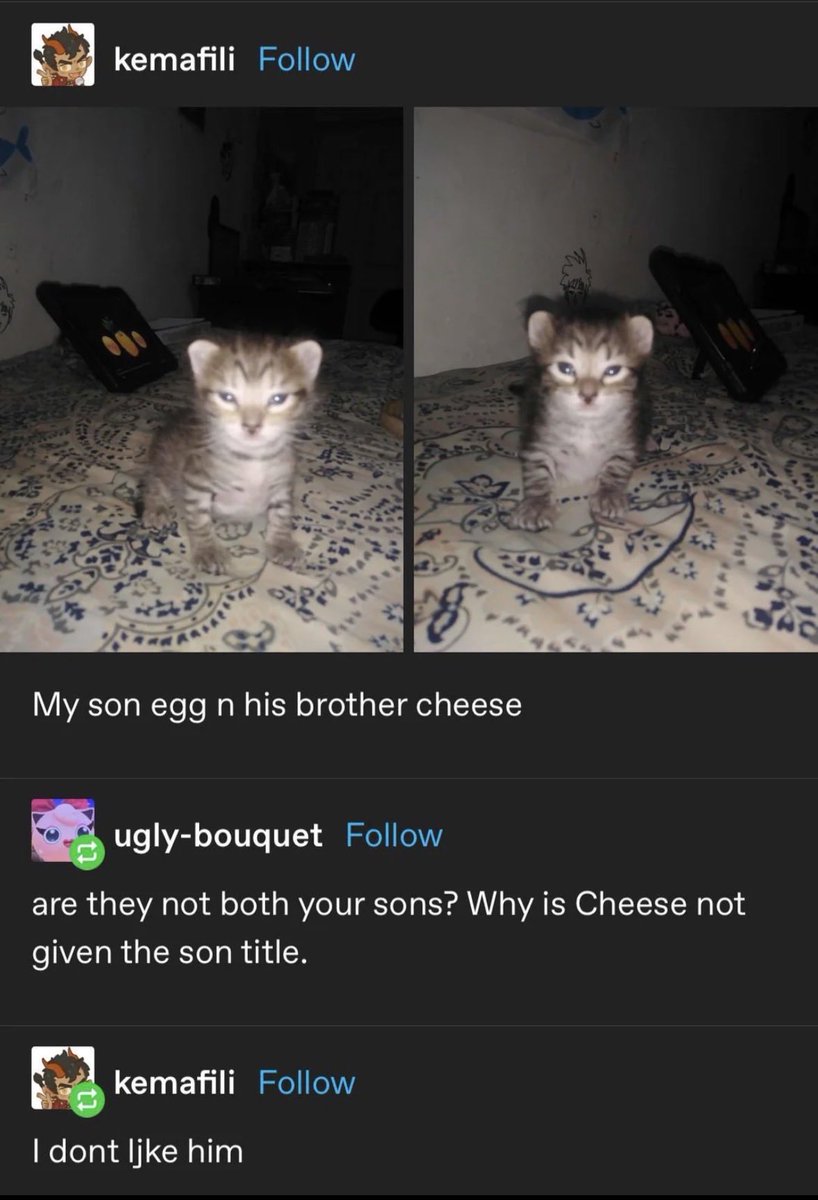 five 👍 tweet media