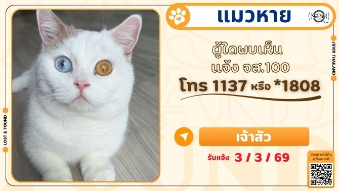 แมวหายจากหมู่บ้านกาญจน์กนก 2 เฟส 3 อ.ดอยสะเก็ด จ.เชียงใหม่ ผู้ใดพบเห็นแจ้ง JS100 โทร *1808 หรือ 1137

รายละเอียดเพิ่มเติม : js100.com/en/site/lost_f…

#แมวหาย #ตามหาแมวหาย #JS100
