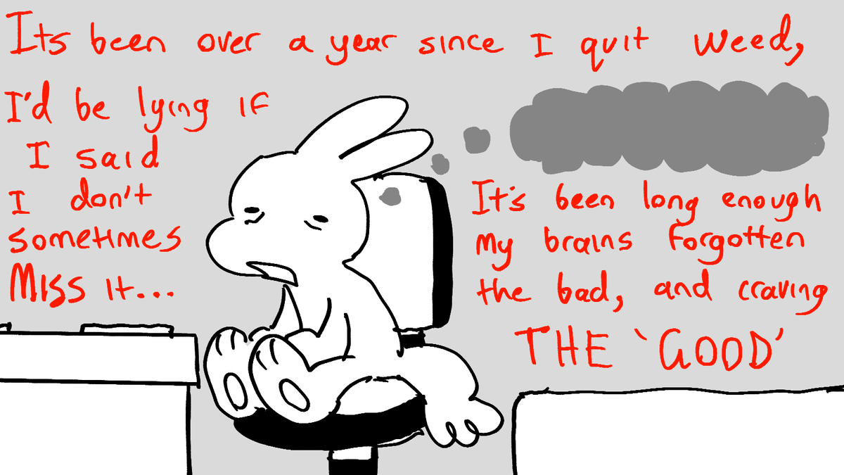 Bunny tweet media