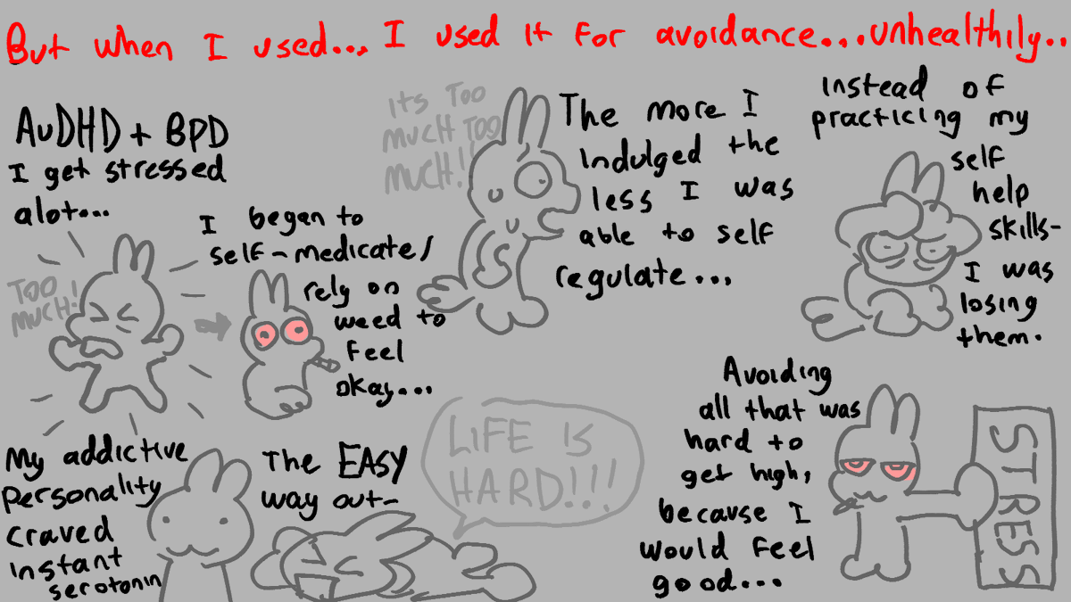 Bunny tweet media