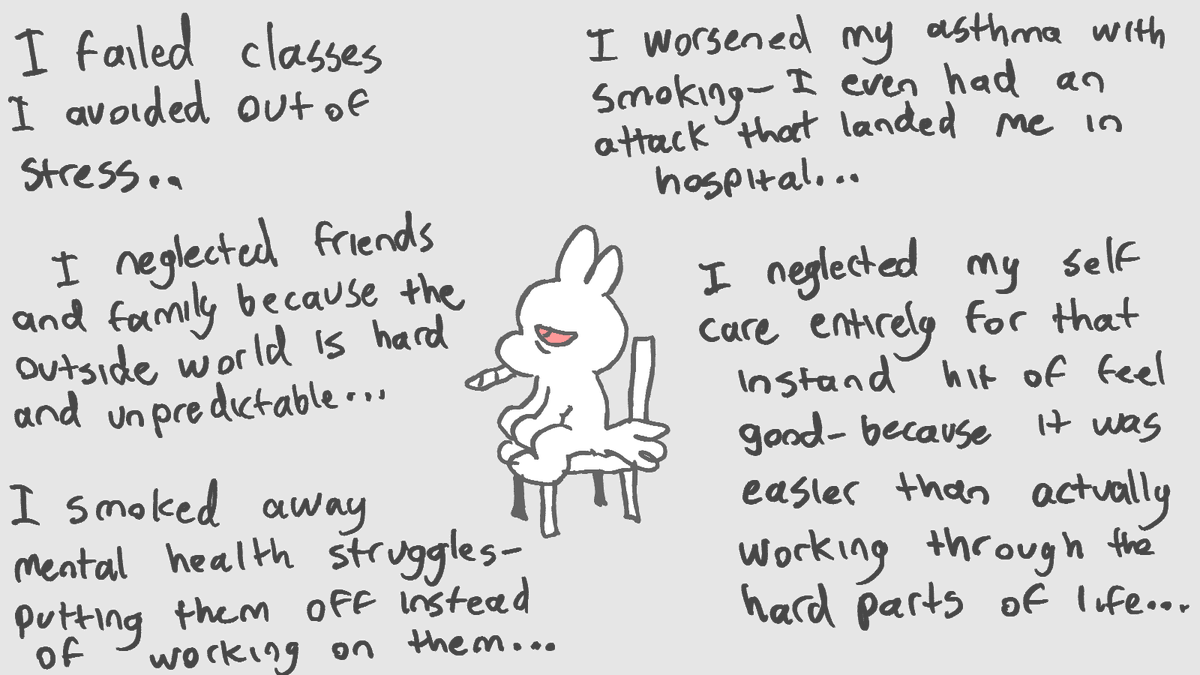 Bunny tweet media