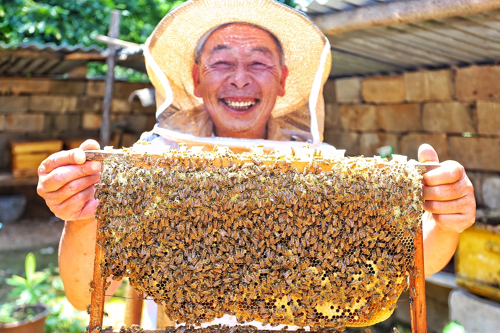 CRI German tweet media