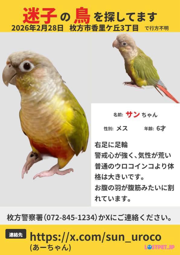 ひよこ豆@鳥豆堂【バードアスレチック・カクタスパーチ