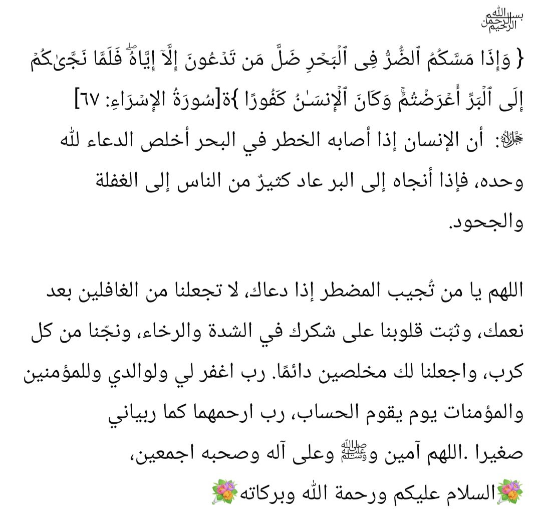 شموخ لبنانية🇱🇧 tweet media