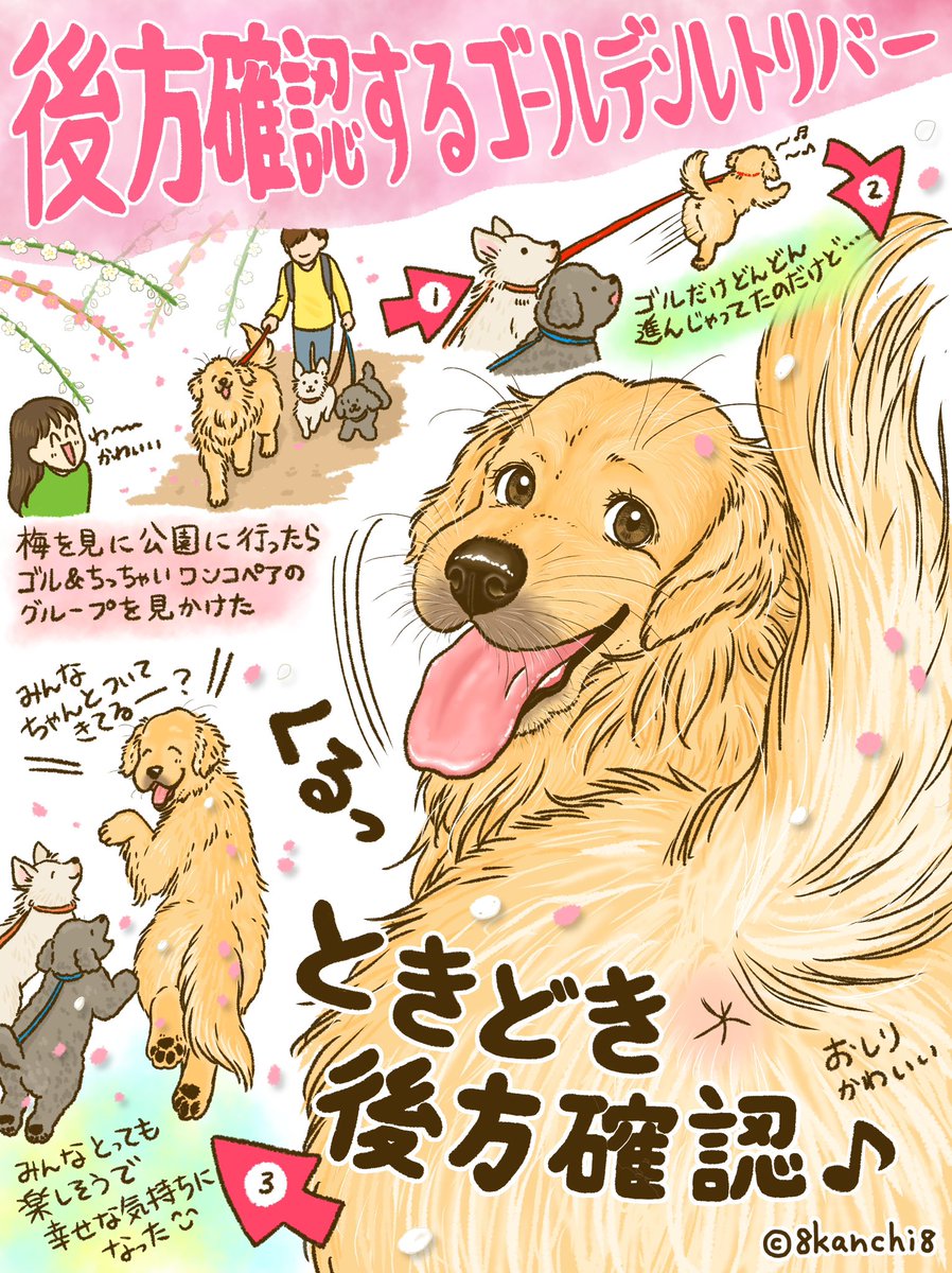 かんち（8kanchi8）@書籍『今日もゴールデンレトリバーに癒されて