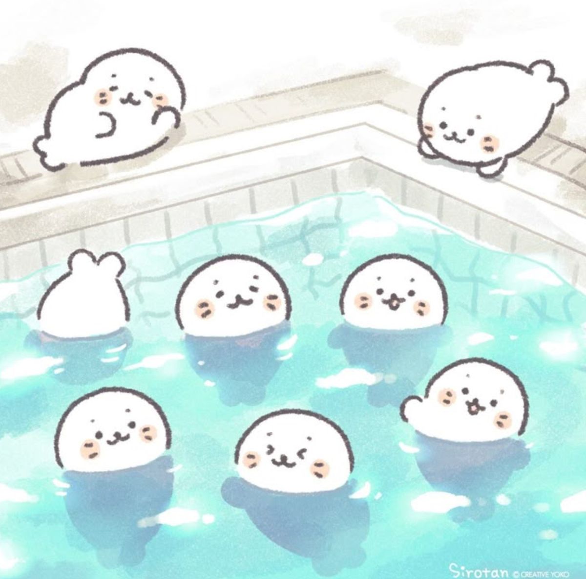 deez 🦭 tweet media