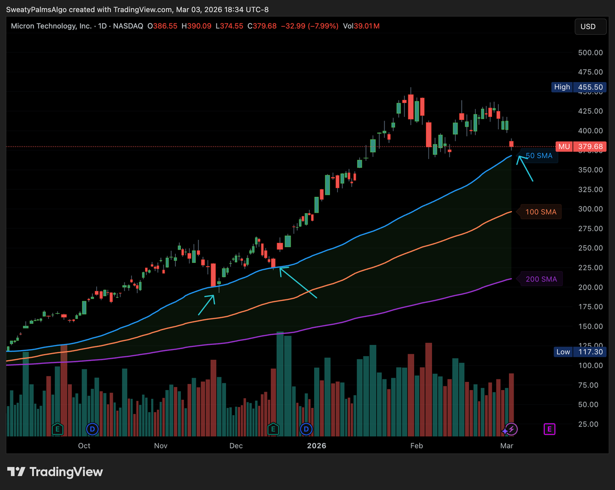 First Fellow tweet media