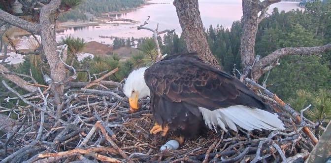 Millions of people are watching them, daily news articles are updating (LA Times - YAHOO) about the ongoing situation. 
This is Solana culture at its best: fast, grassroots, actually doing somethin’ 🦅