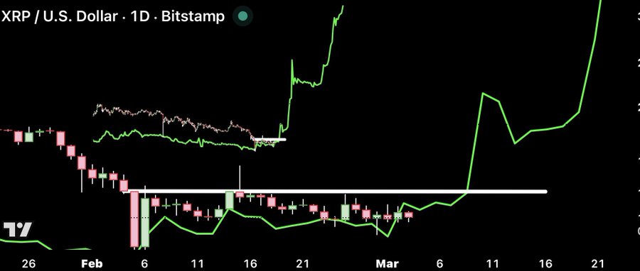 Hailey LUNC XRP tweet media