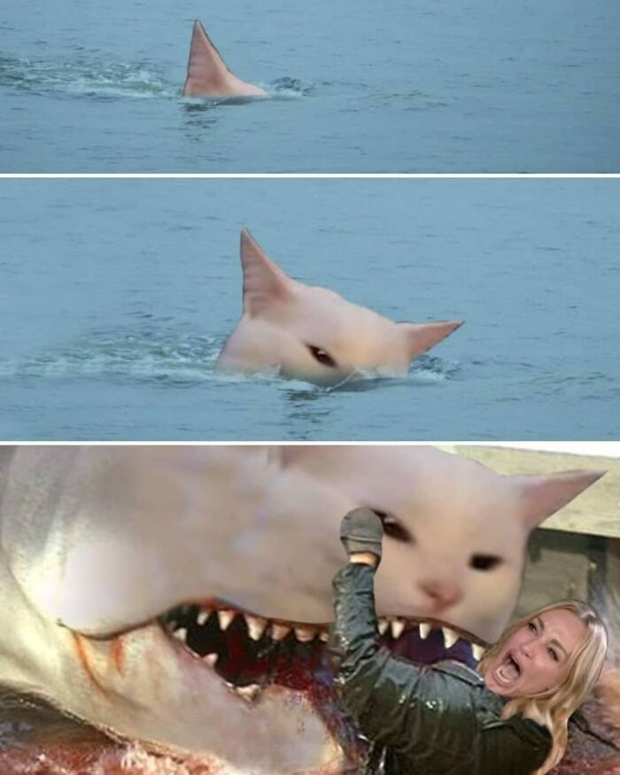 D20 Burlesque tweet media