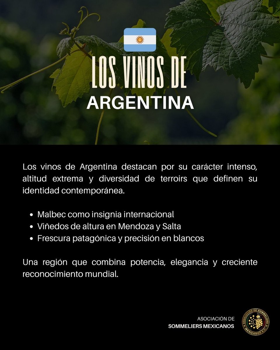 ASM  A.C. tweet media