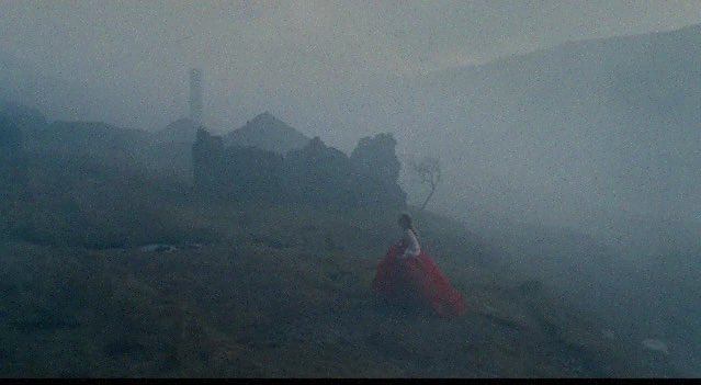 Emerald Fennell Updates tweet media