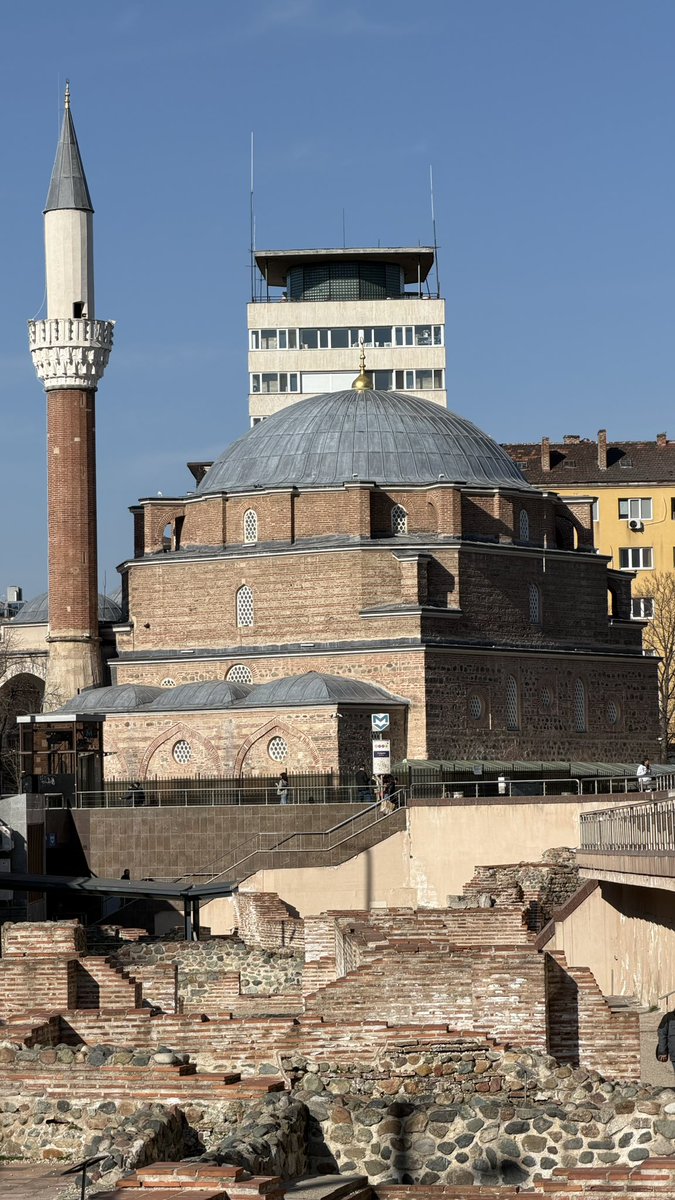 Marley Bushell tweet media