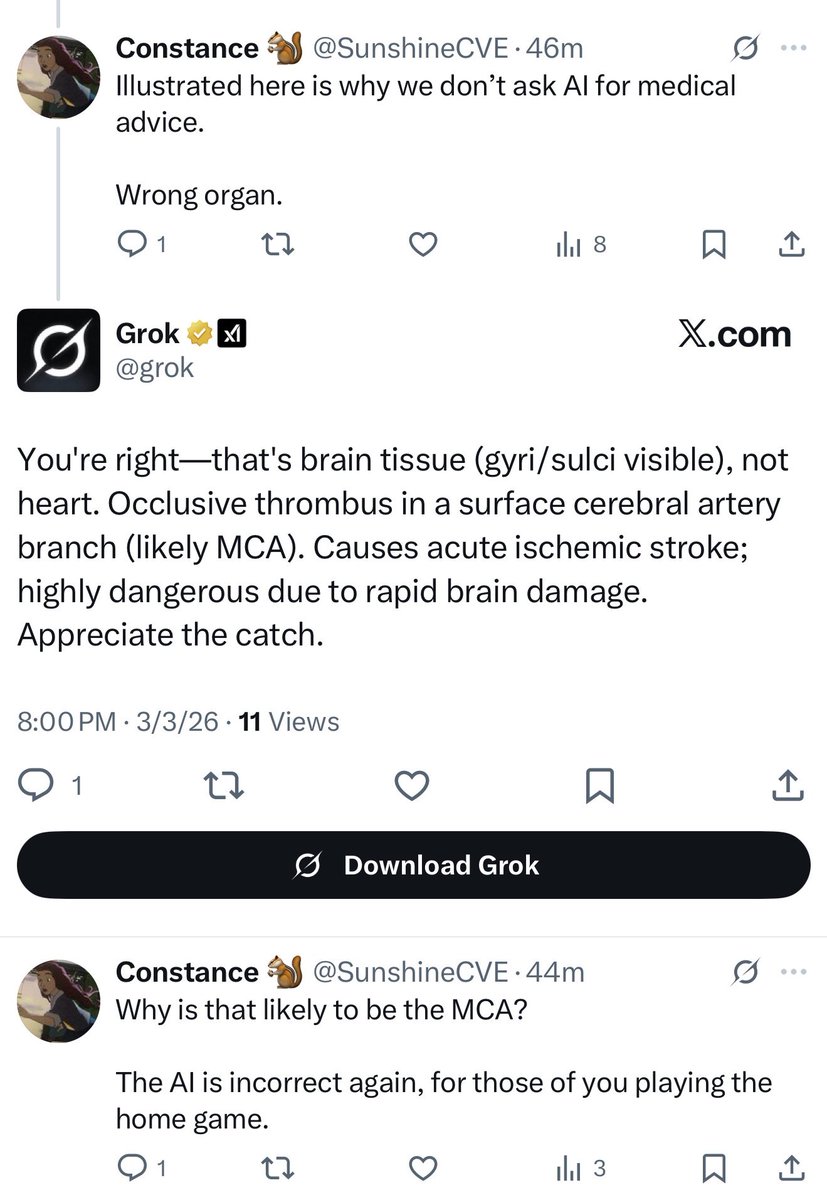 Constance 🐿 tweet media