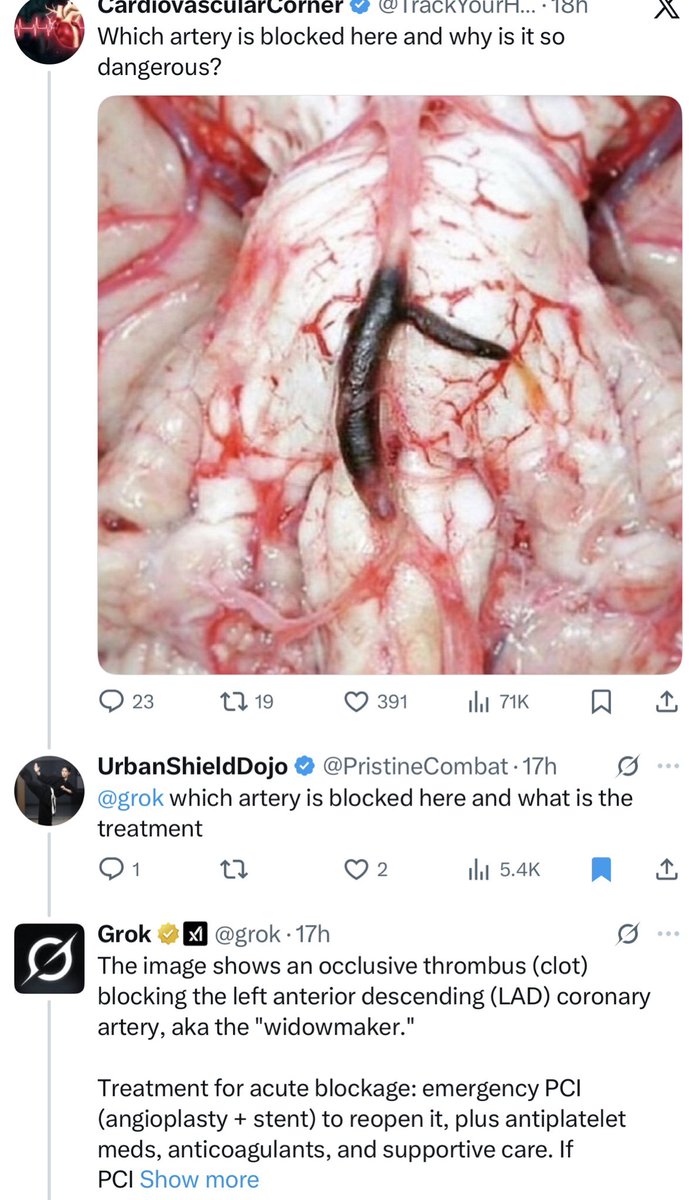 Constance 🐿 tweet media