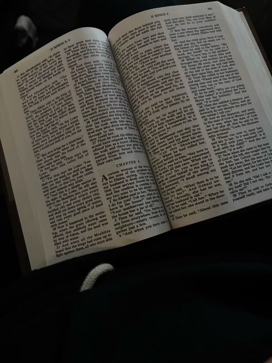 Orellana tweet media