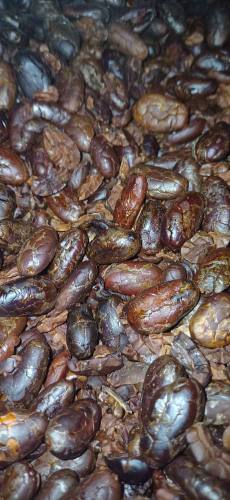 OroCraftChoc's tweet photo. Roasted Cocoa Beans 
#cocoabeans #roastedcocoabeans #craftchocolates #orococoa #orochocolate #cocoa https://t.co/5dYP8pwaNG