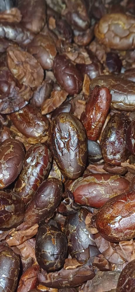 OroCraftChoc's tweet photo. Roasted Cocoa Beans 
#cocoabeans #roastedcocoabeans #craftchocolates #orococoa #orochocolate #cocoa https://t.co/5dYP8pwaNG