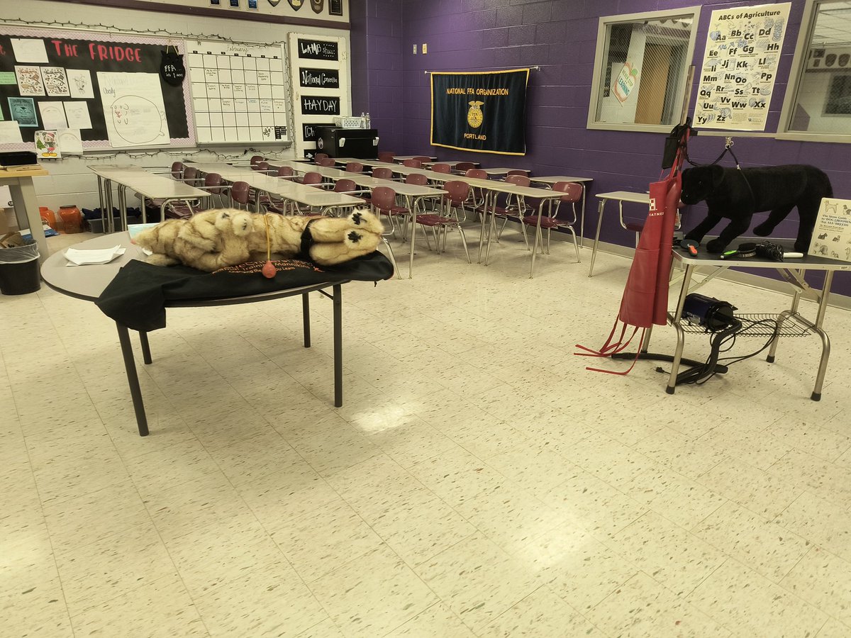 Portland FFA tweet media