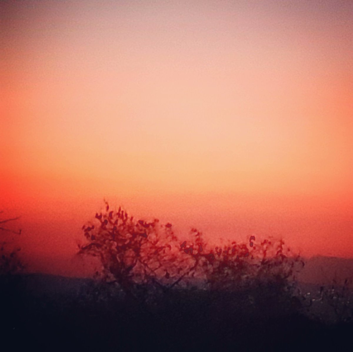 Atardecer 1 de marzo