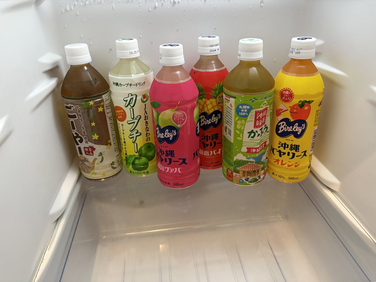 学会発表で、沖縄に、来ました