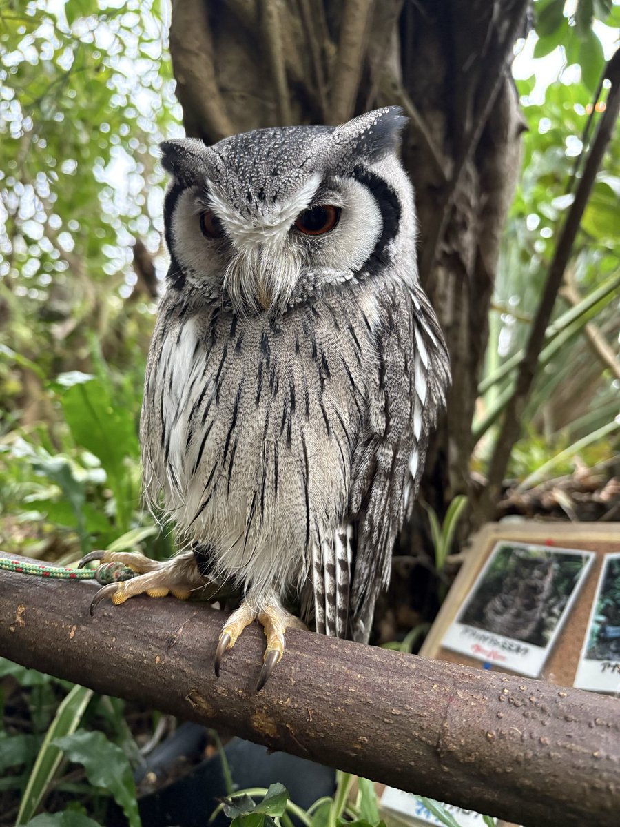 えみた tweet media