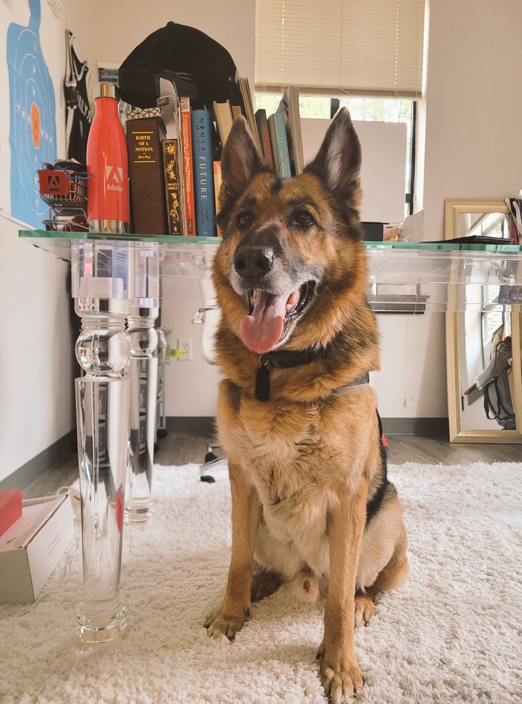 MsSonicFlare:: Ivo Lukas tweet media