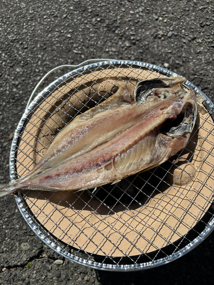 昨日雨が降ったので、畑はべちゃべちゃで行けません。久しぶりになーんも無い日なんで、「多聞くん今どっち！？」を読みながら、お魚焼いておる。まだかぬー…。
