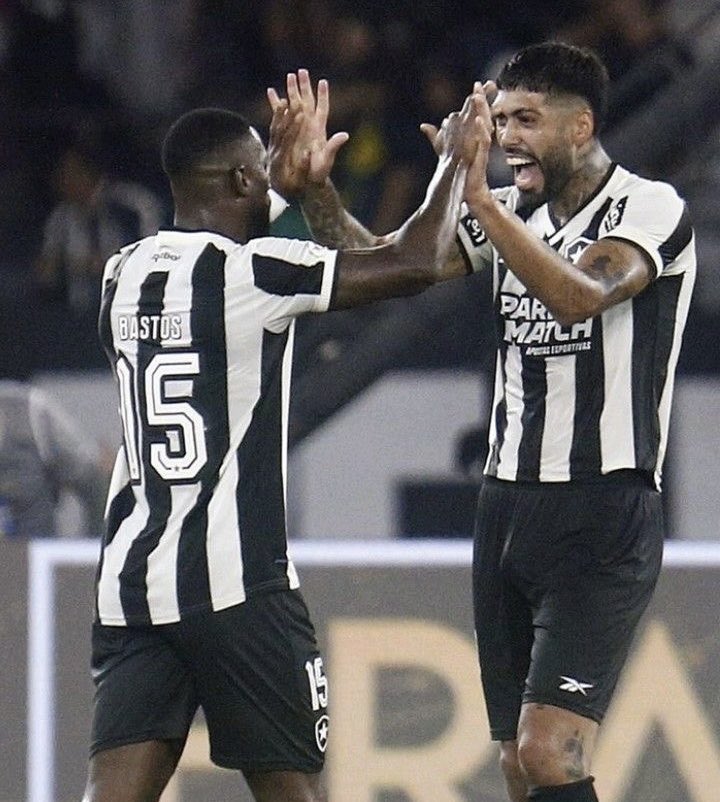 botafogo fodase tweet media