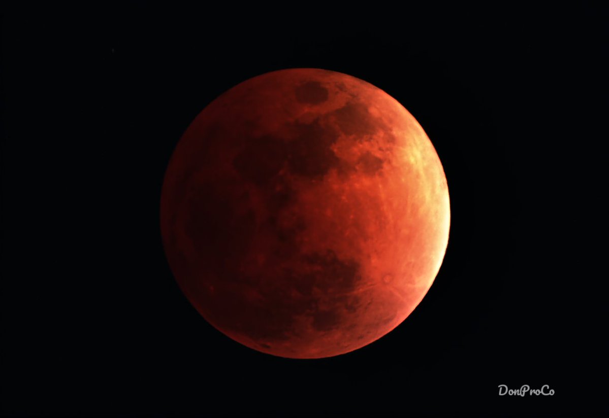 ISRAEL RAMIREZ tweet media