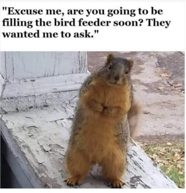 Spill The Memes tweet media