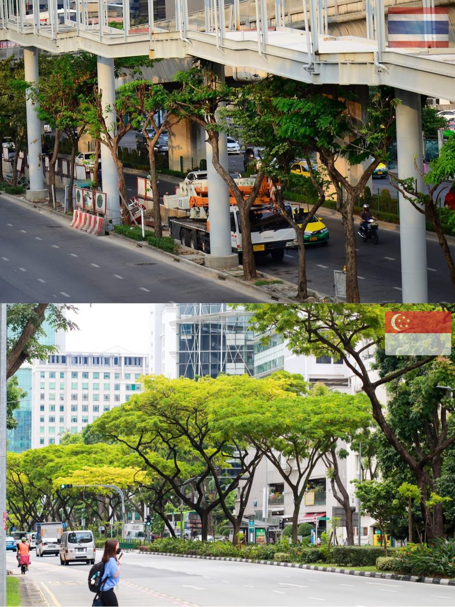 รูปเดียว​ สะท้อน​วิสัยทัศน์และการจัดการ​ ว่าเมืองมอง "ต้นไม้" เป็นเพียงของประดับที่ต้องหลีกทางให้ความเจริญหรือมองว่า "ต้นไม้" คือส่วนหนึ่งของโครงสร้างพื้นฐานที่จำเป็นต่อคุณภาพชีวิตของคนในเมือง