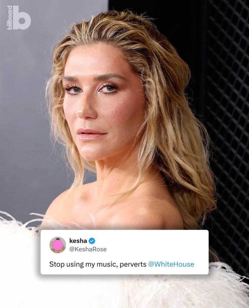 Constitutional Gator tweet media