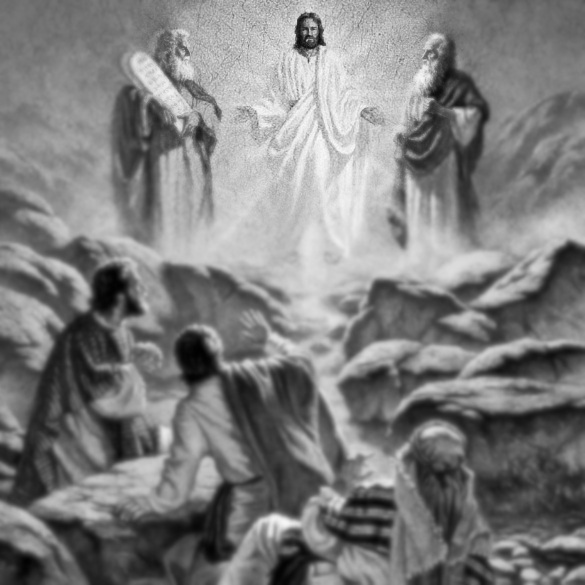 Saint Patrick's, Wildfield (Brampton) tweet media